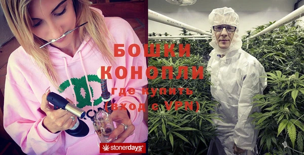 ПСИЛОЦИБИНОВЫЕ ГРИБЫ Пестово