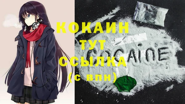 тгк Козельск