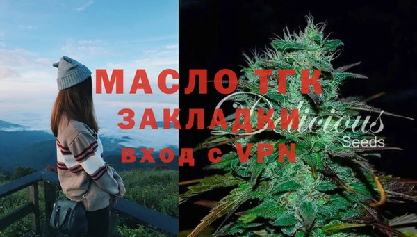 хмурый Корсаков