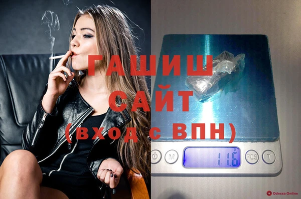 гидра Коряжма