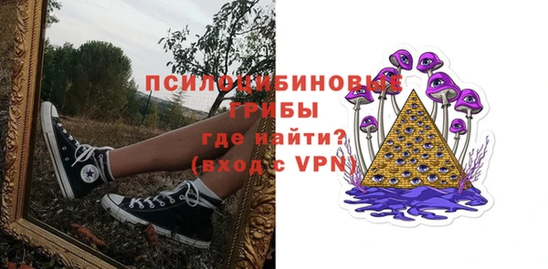 гидра Коряжма
