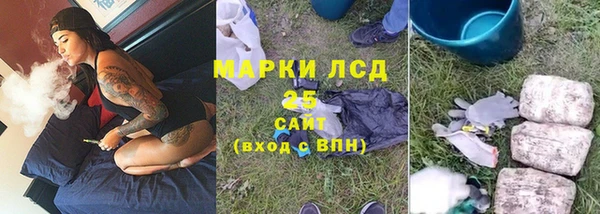 хмурый Корсаков