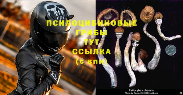 гидра Коряжма