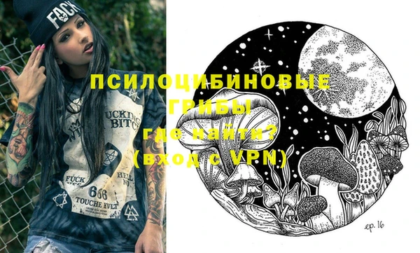 тгк Козельск