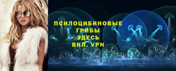 тгк Козельск