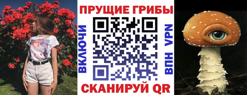 Псилоцибиновые грибы мицелий Михайловка