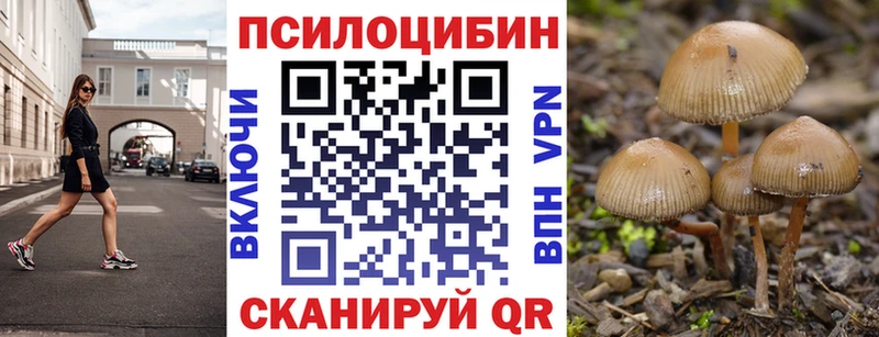 Псилоцибиновые грибы Magic Shrooms  omg маркетплейс  Михайловка 